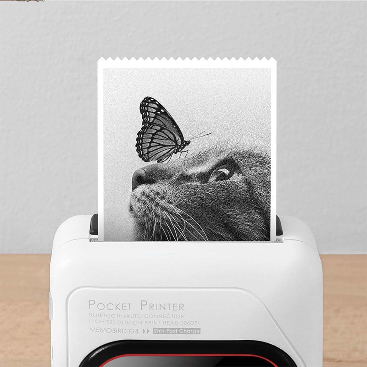 printer-memobird-g4-4395086 mono image printed with a mono laser printer